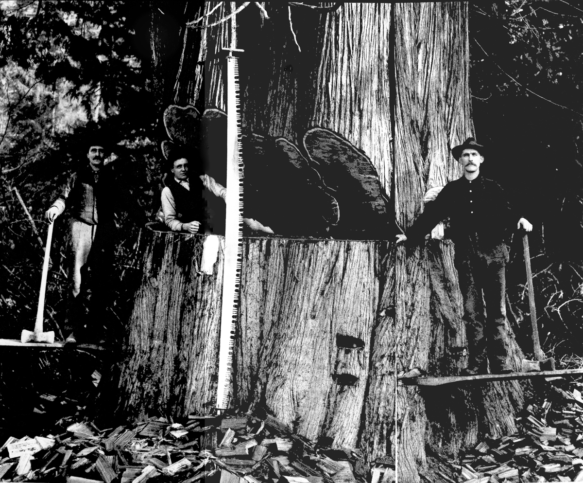Historical photo of Northwest loggers - moorepartners.ca