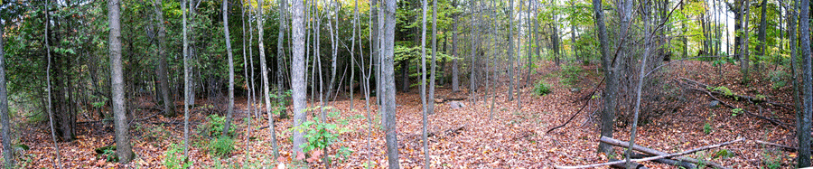 Site of River House moorepartners.ca
